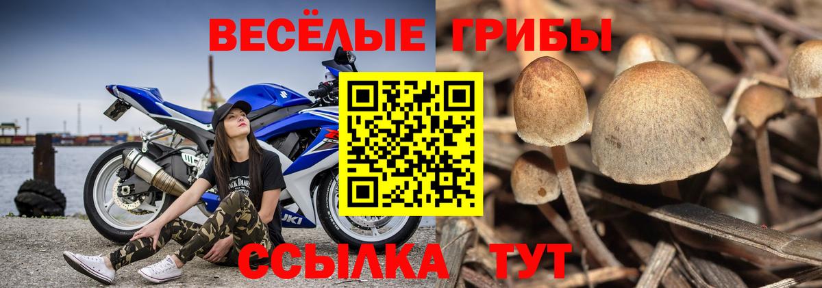 Псилоцибиновые грибы мухоморы Альметьевск