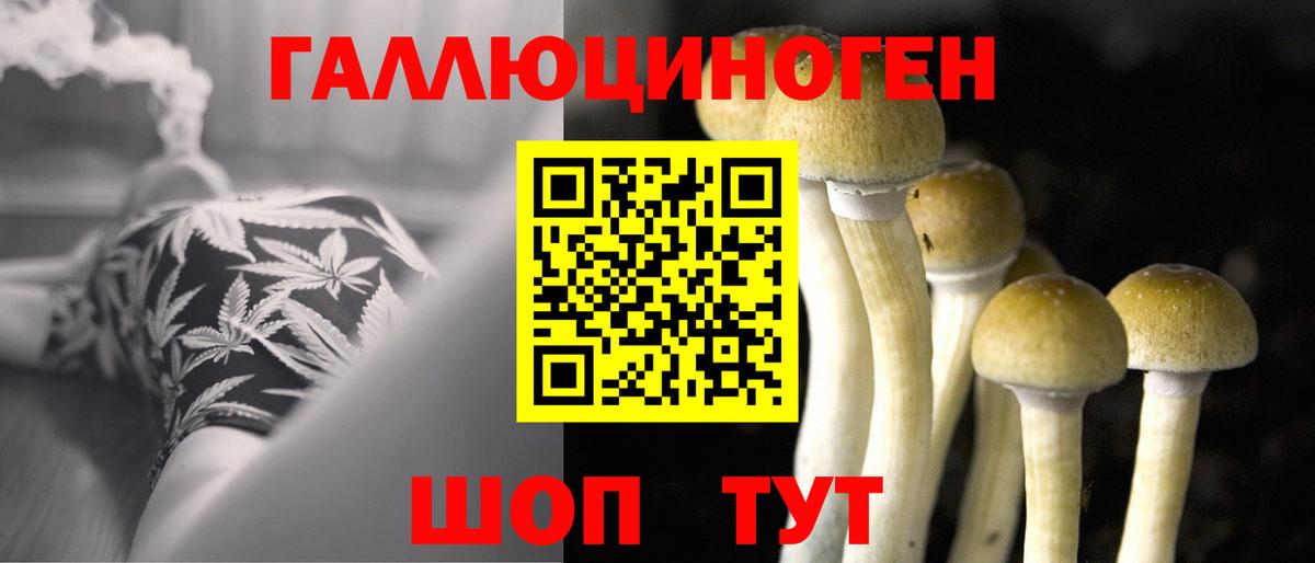 купить наркотик  Вход с VPN  Альметьевск  Псилоцибиновые грибы Magic Shrooms 
