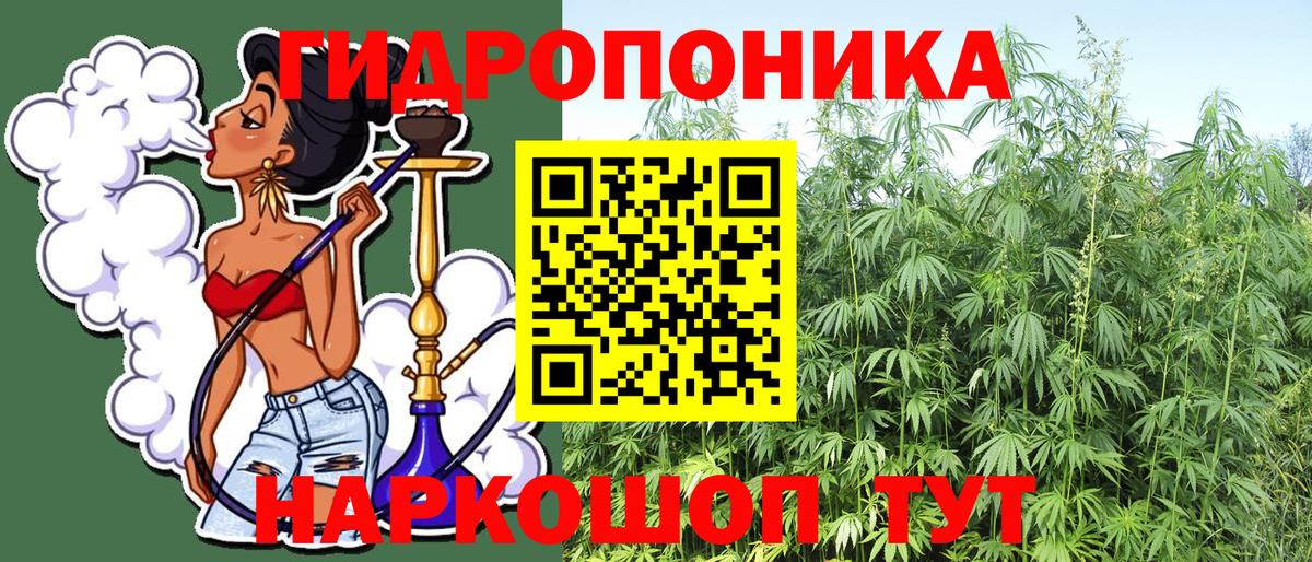 Марихуана конопля Альметьевск